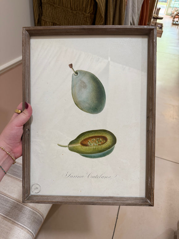 Wood Frame Art Catalina Plum